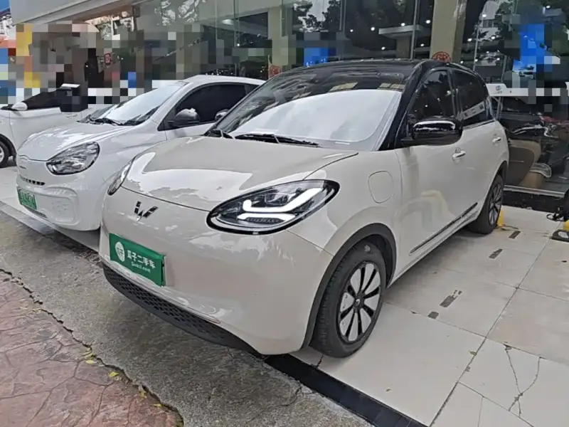 Wuling Bingo