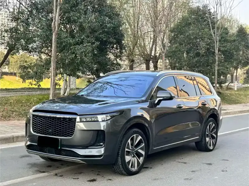 Li Auto ONE