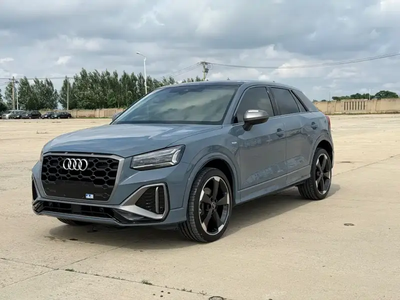 Audi Q2L