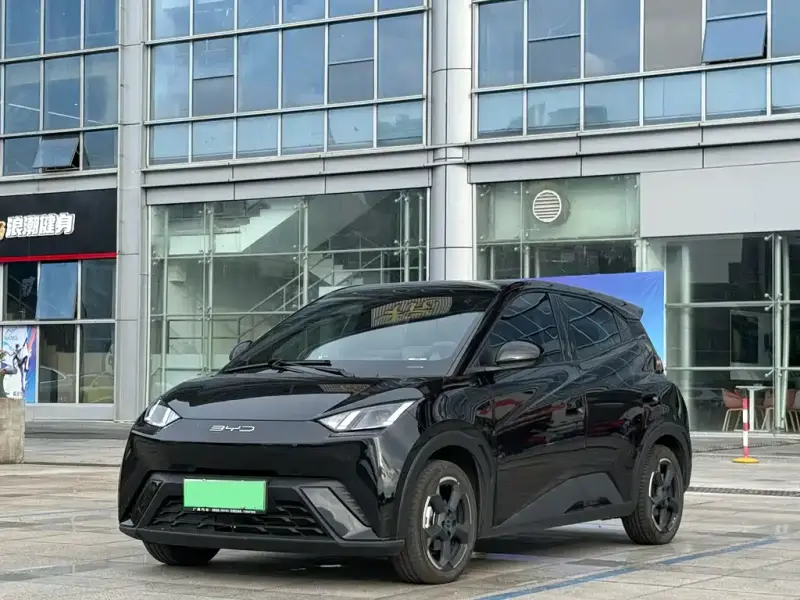 BYD Seagull