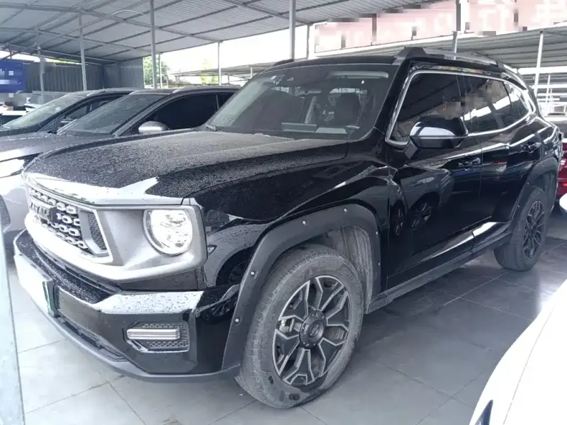 Haval Dargo PLUS NEV