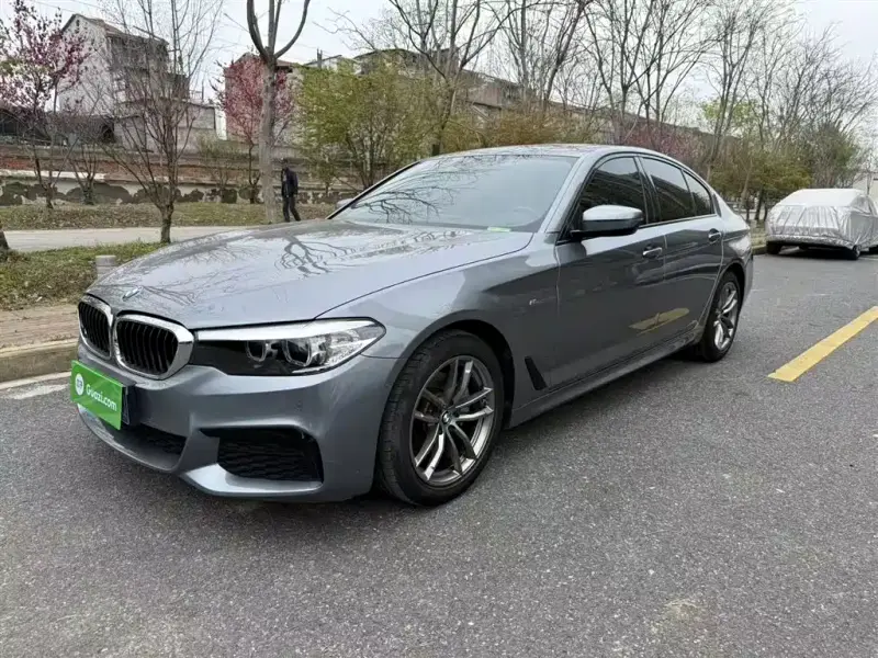 BMW 5 Series (Import)