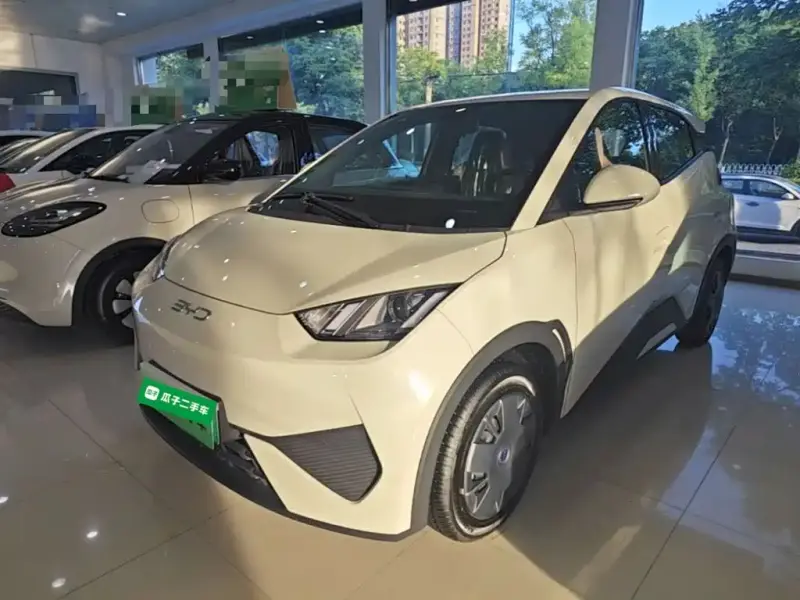 BYD Seagull