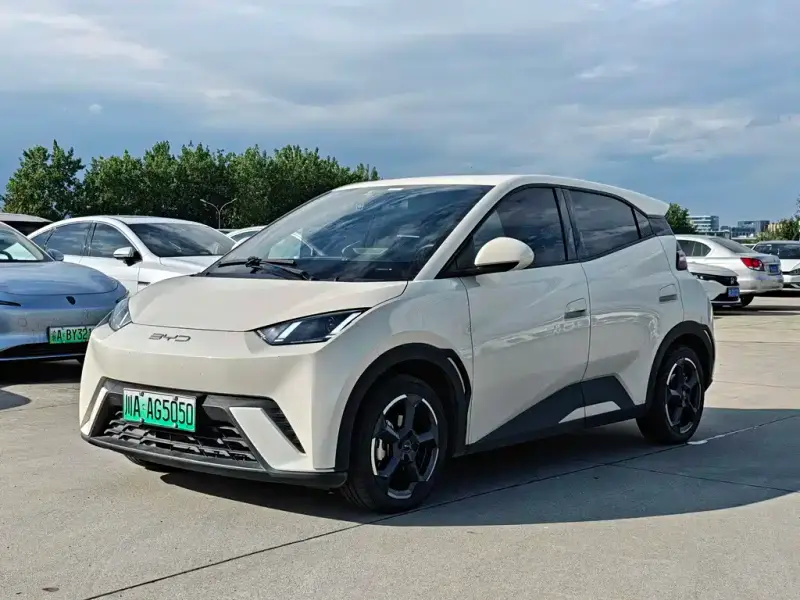 BYD Seagull