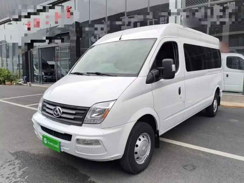 Maxus V80