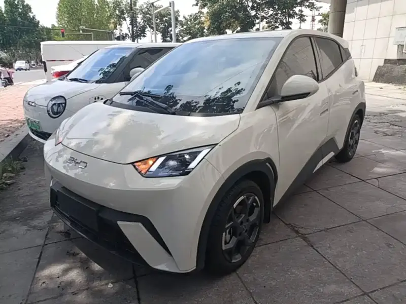 BYD Seagull