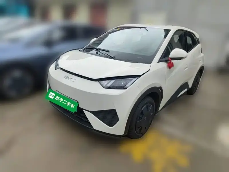 BYD Seagull