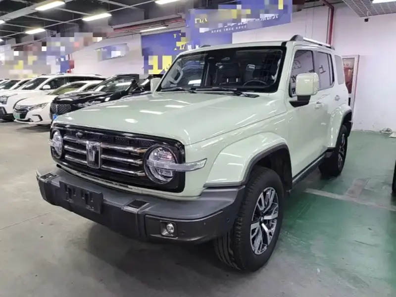 Tank 300