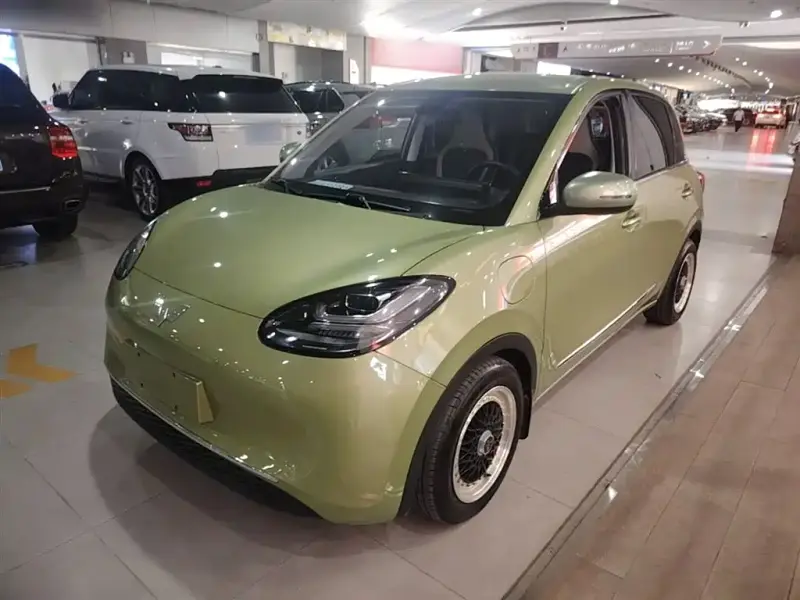 Wuling Bingo