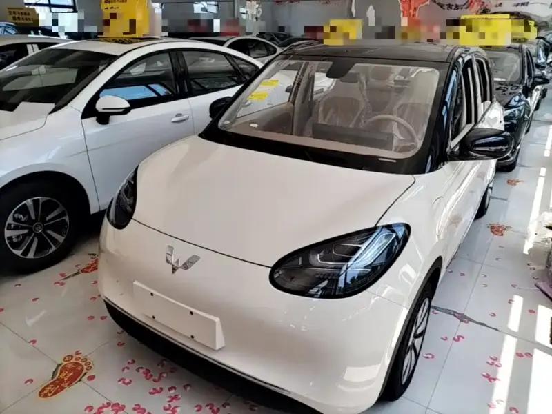 Wuling Bingo
