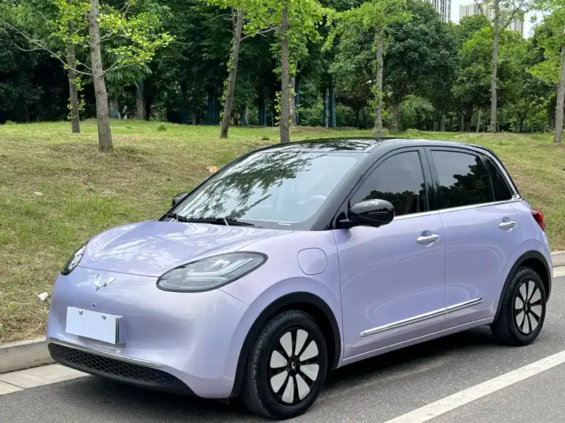 Wuling Bingo