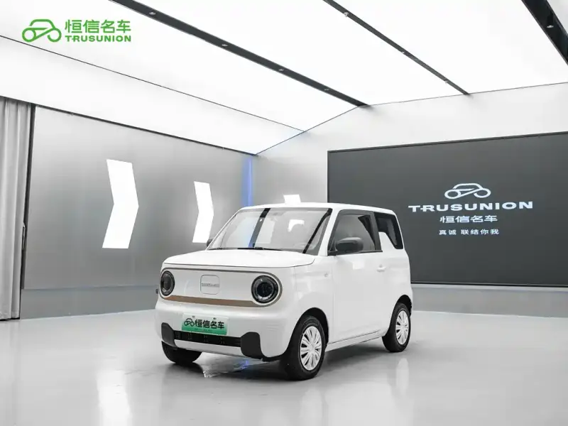 Galaxy Panda Mini (Panda)