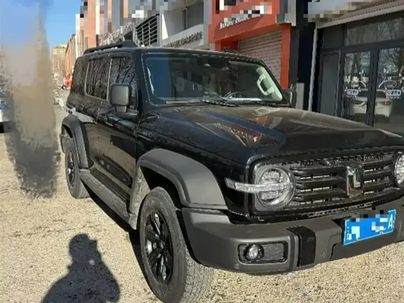 Tank 300