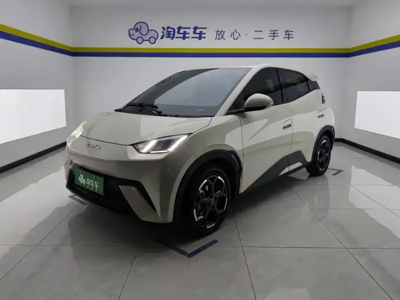 BYD Seagull