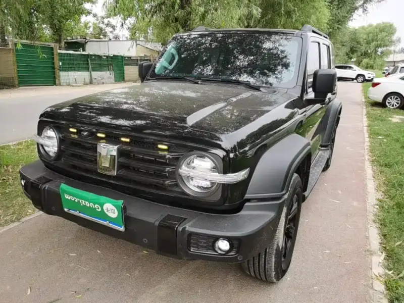 Tank 300