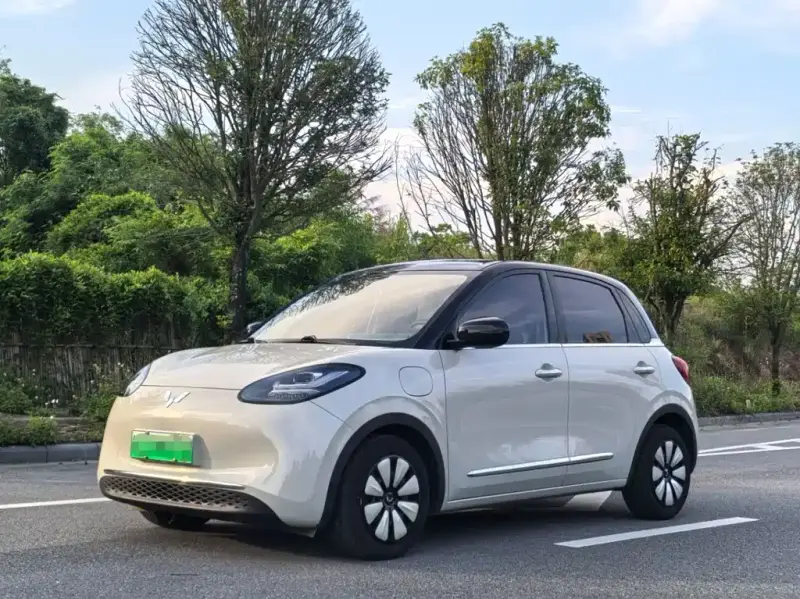 Wuling Bingo