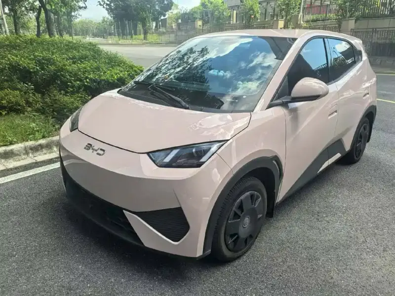 BYD Seagull