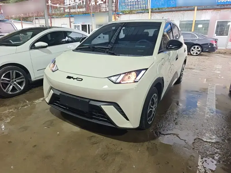 BYD Seagull