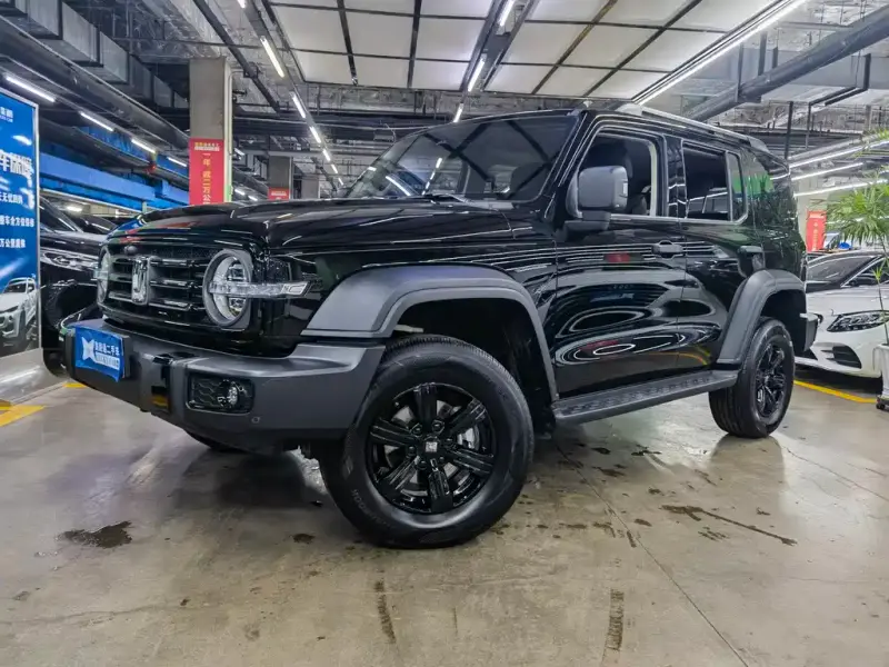 Tank 300