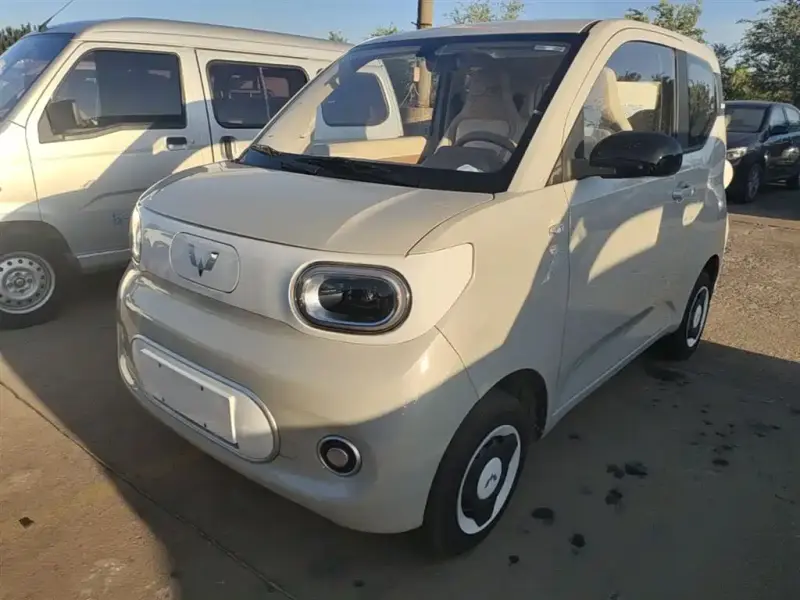 Wuling Hongguang Mini EV (MINIEV)