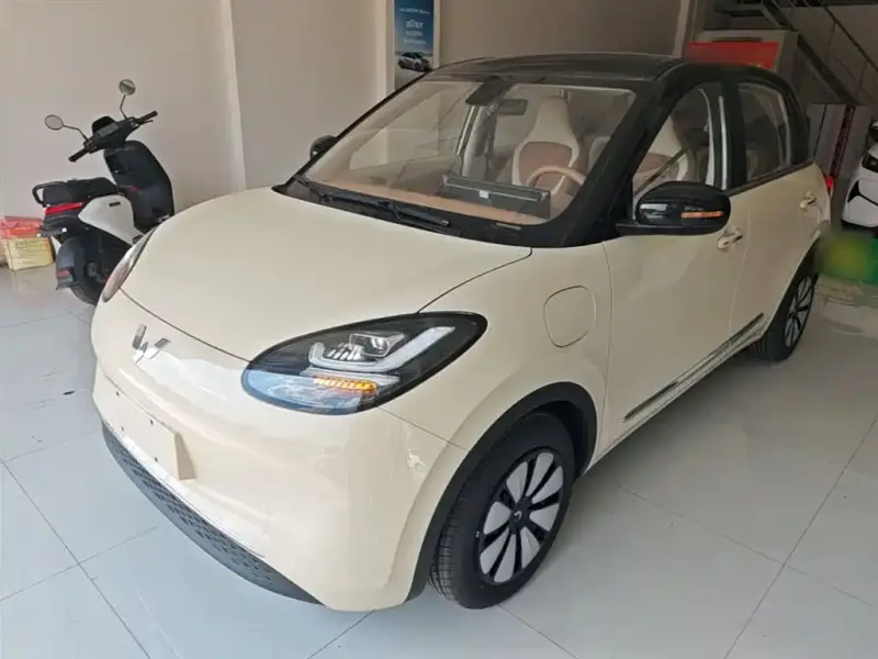 Wuling Bingo