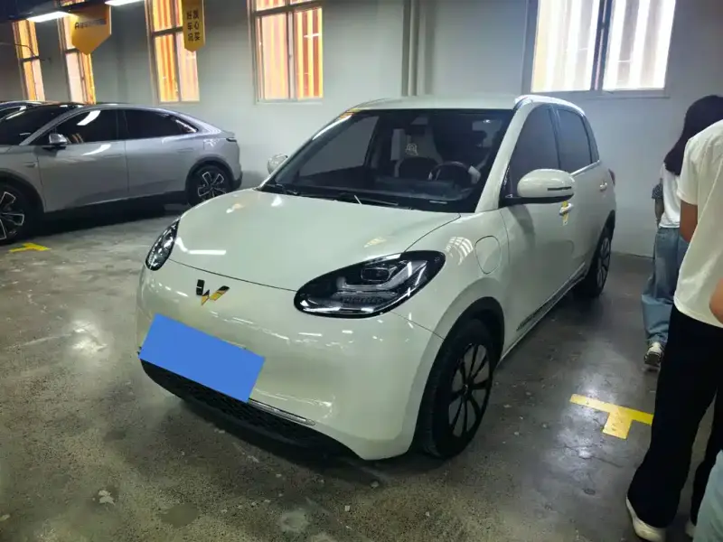 Wuling Bingo