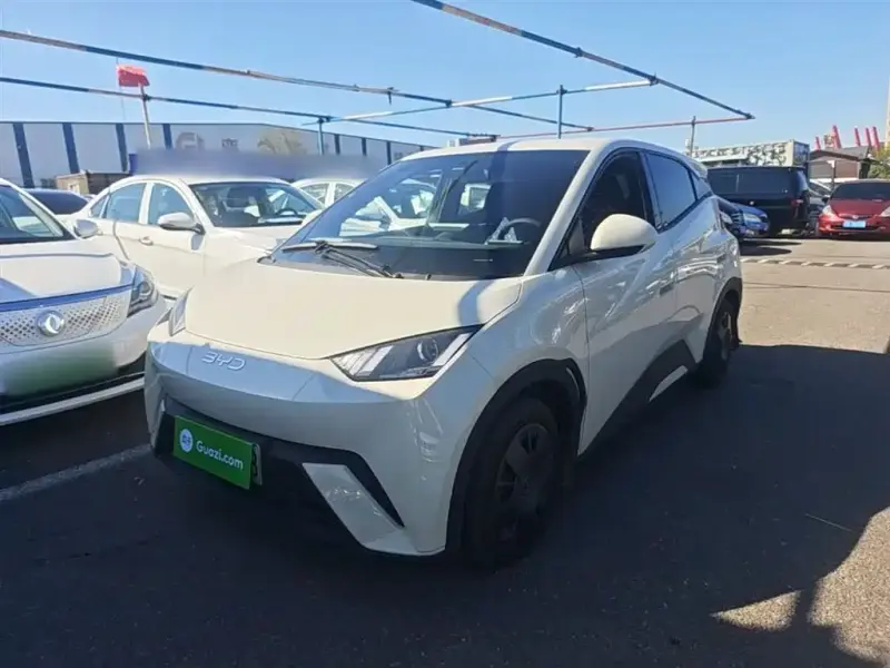 BYD Seagull