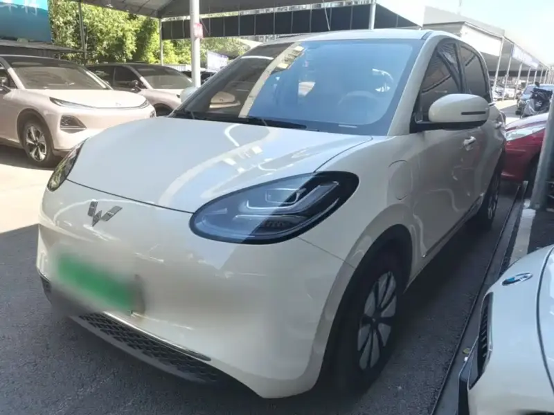 Wuling Bingo