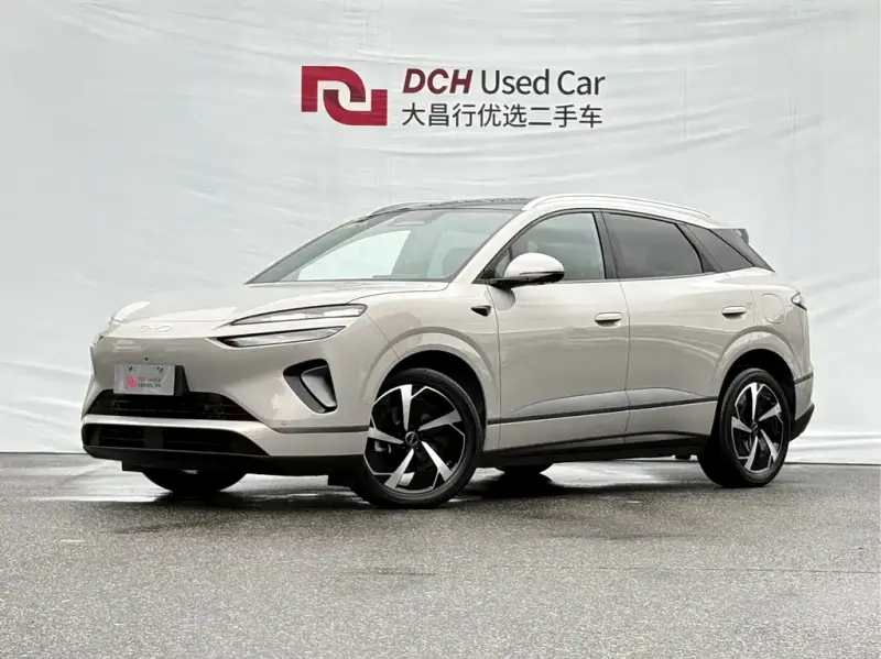 BYD Sea Lion 06