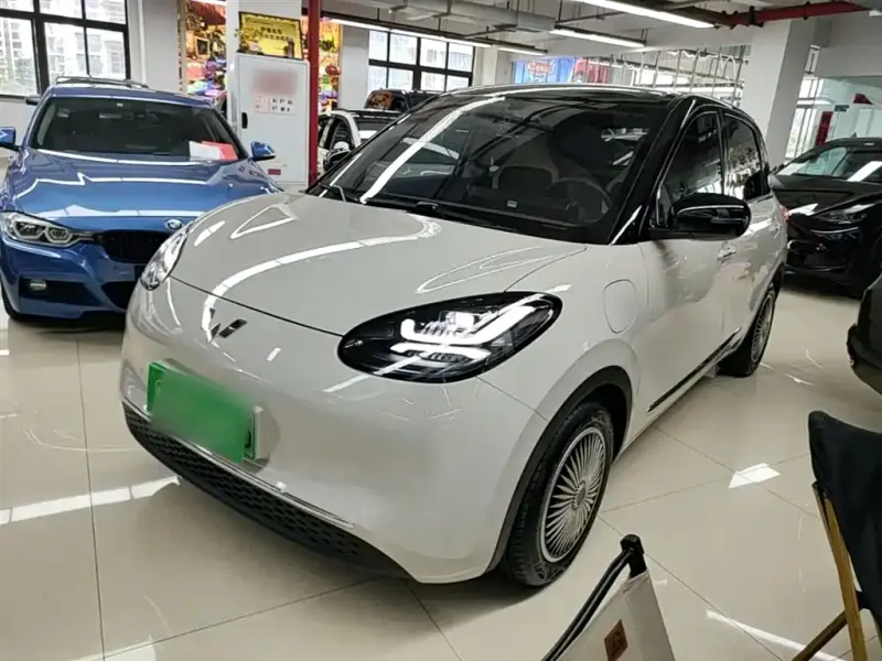 Wuling Bingo