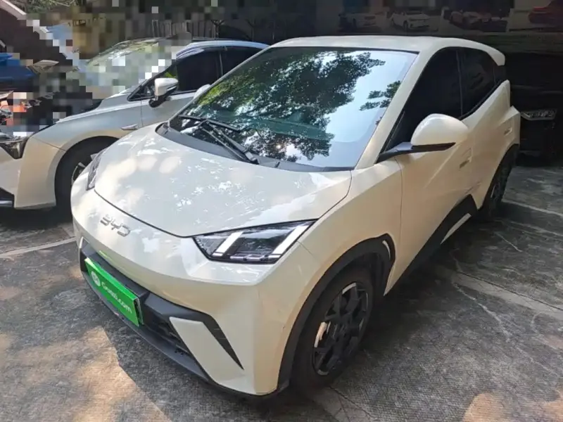 BYD Seagull