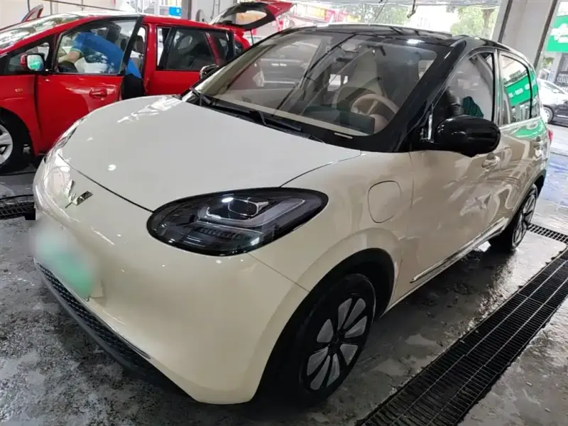 Wuling Bingo