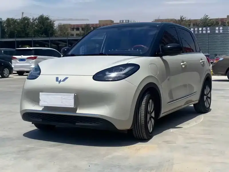 Wuling Bingo
